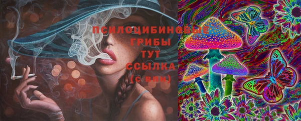 PSILOCYBIN Коряжма