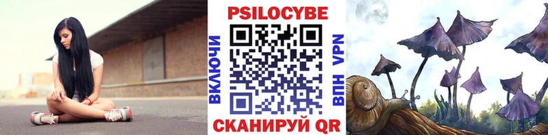 Галлюциногенные грибы Psilocybine cubensis  Купить закладки  Полысаево 